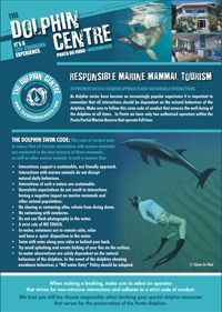 swim-code_code-conduct-img1 swim-code_code-conduct-responsible-practice-the-dolphin-centre-swim-with-wild-dolphins