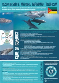 swim-code_code-conduct-img2